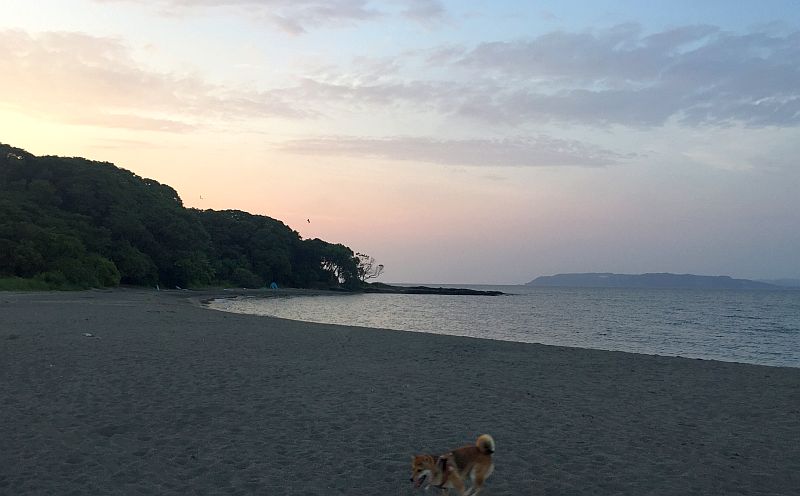 鼻づまりを瞑想で治す!(おバカ理論です)
